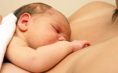 ‘You’re not a real midwife’ – the trials and tribulations of Midwifery Governance
